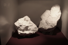 Killikus&reg; Fotographie